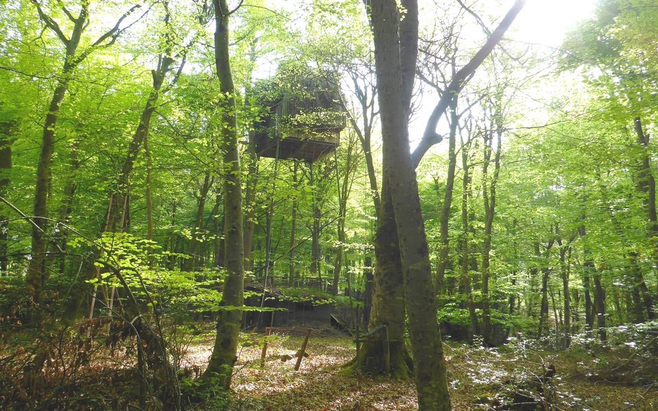 Bois de Coarraze