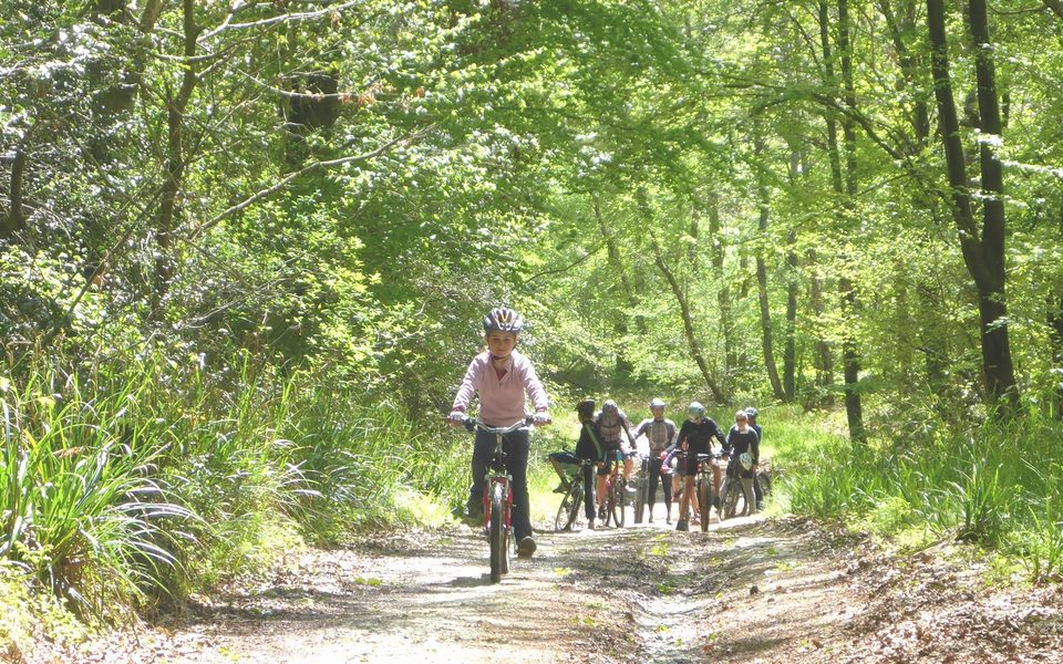 VTT 5 Le chemin Henri IV