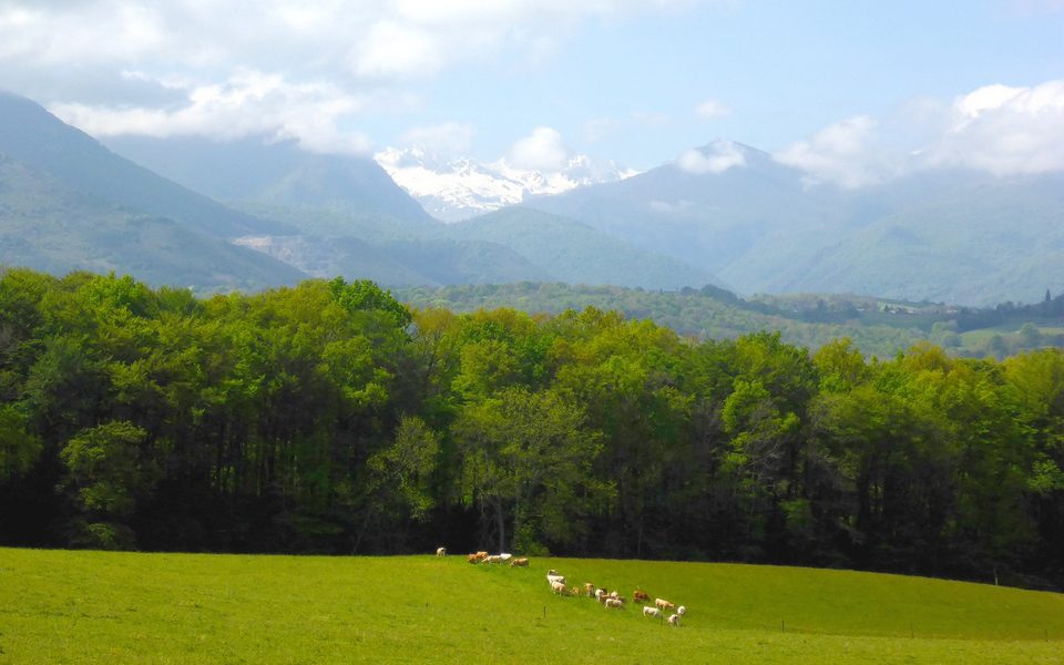 VTT 3 Bastides et châteaux