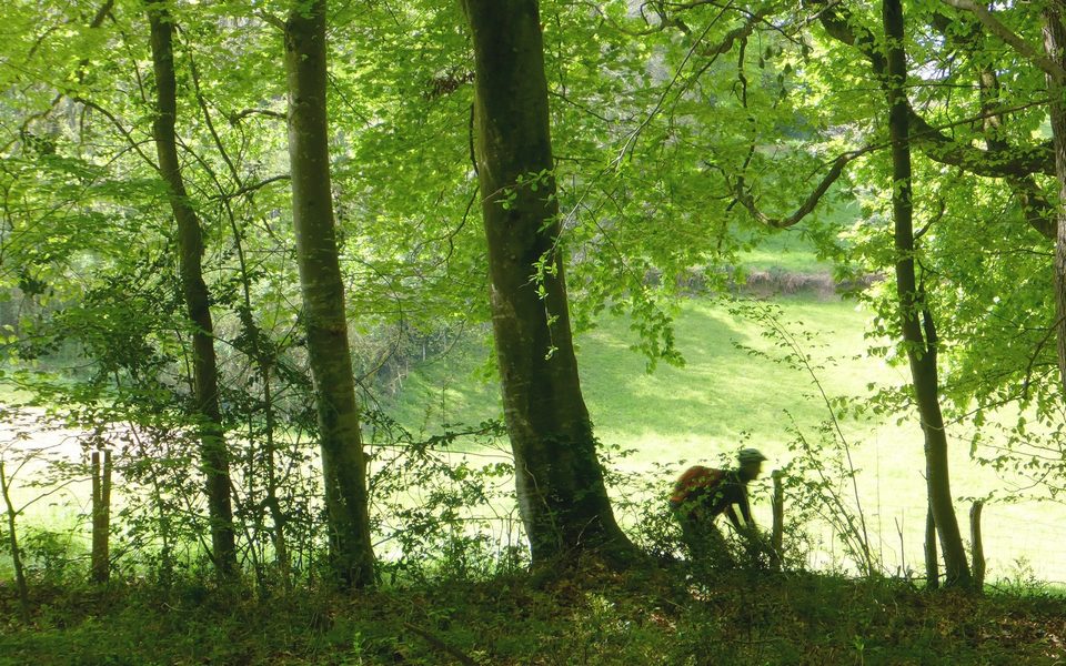 VTT 3 Bastides et châteaux
