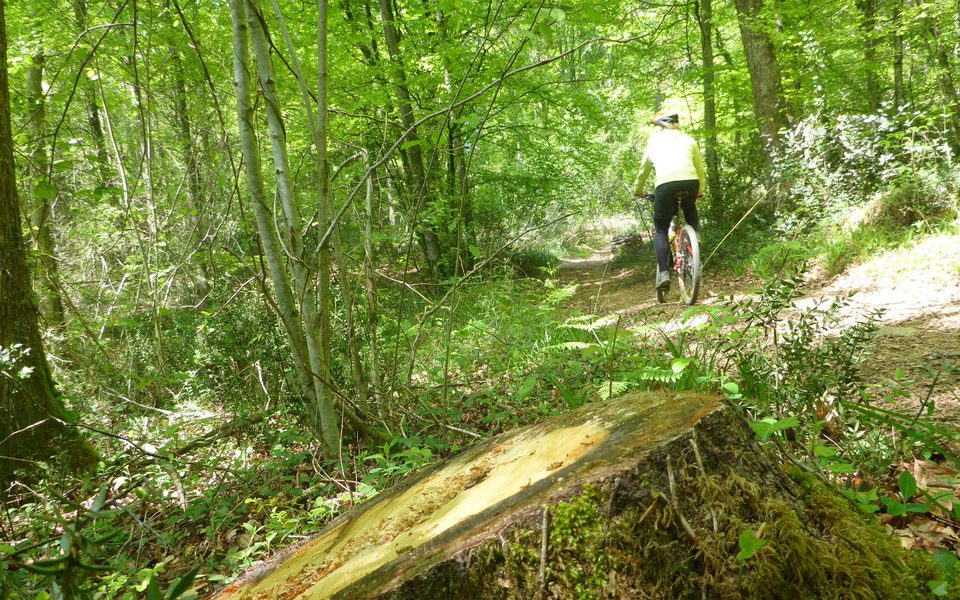 VTT 2 Les Crêtes de Coarraze à St-Vincent