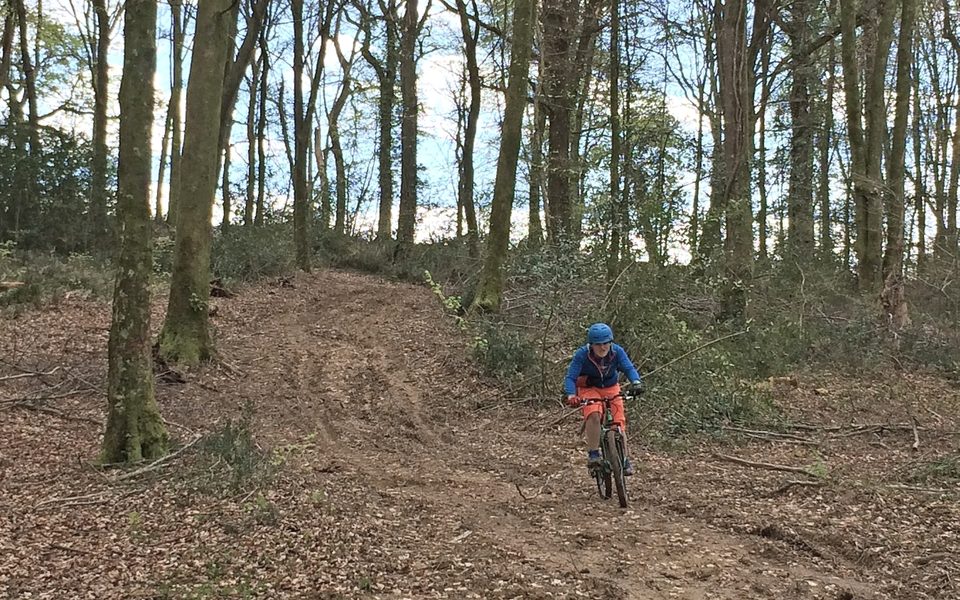 VTT 1 Les Bois de Carrasquet à Sargaillouse