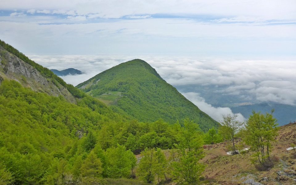 Le Belvédère du Monbula