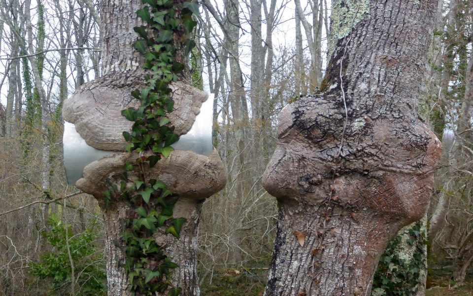 Les Bois du sanctuaire de Piétat