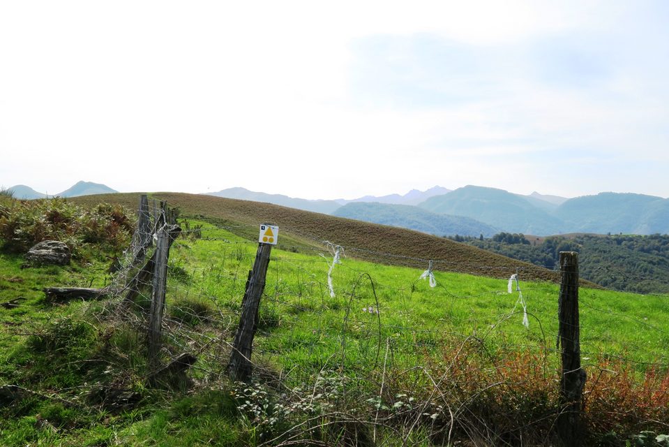 VTT N°1 -  Piémont de Barétous