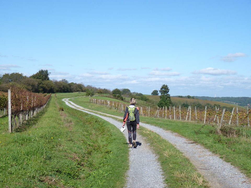 Conchez-de-Béarn : entre architecture et vignoble
