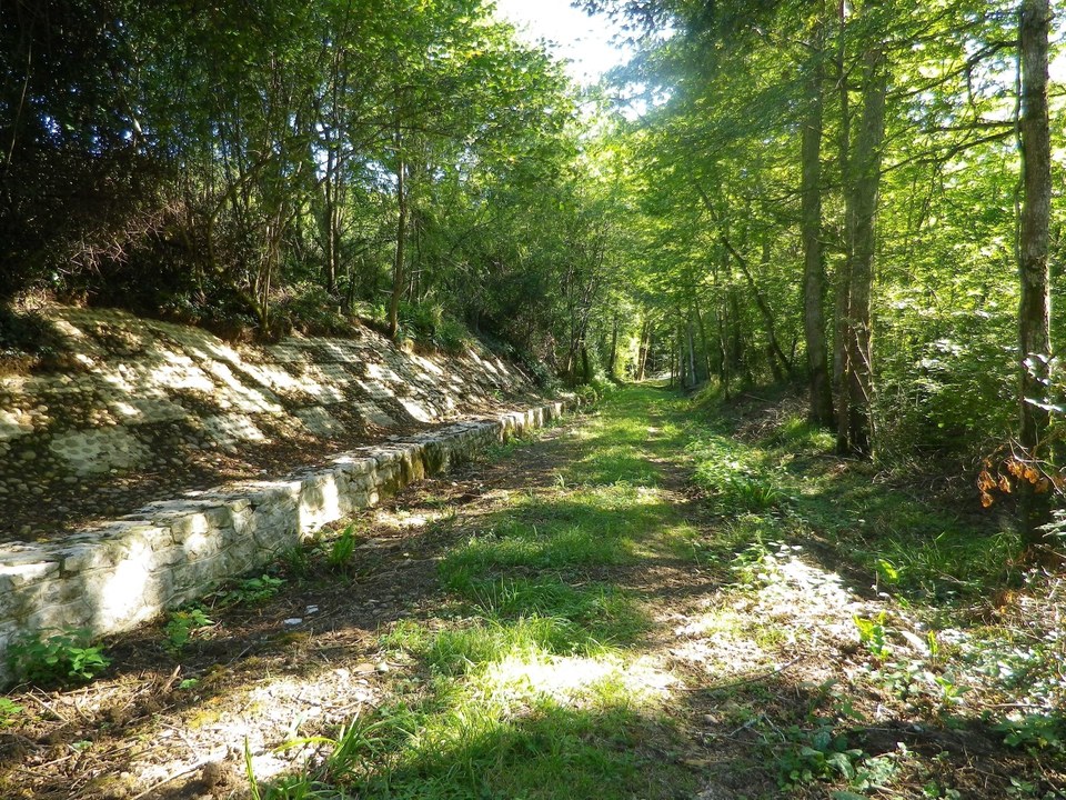 Lembeye : la vallée du Vic-Bilh à VTT