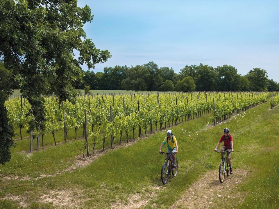 Simacourbe : les coteaux du Vic-Bilh à VTT 