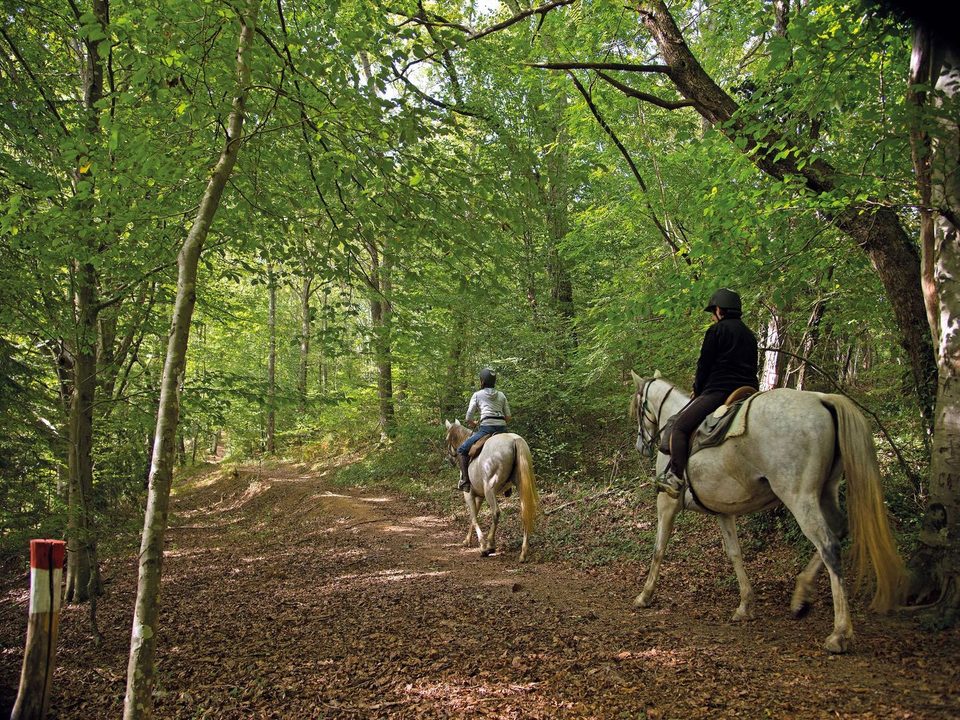 Lembeye : la vallée du Vic-Bilh à cheval