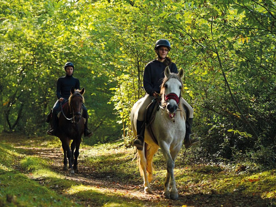 Lembeye : la vallée du Vic-Bilh à cheval
