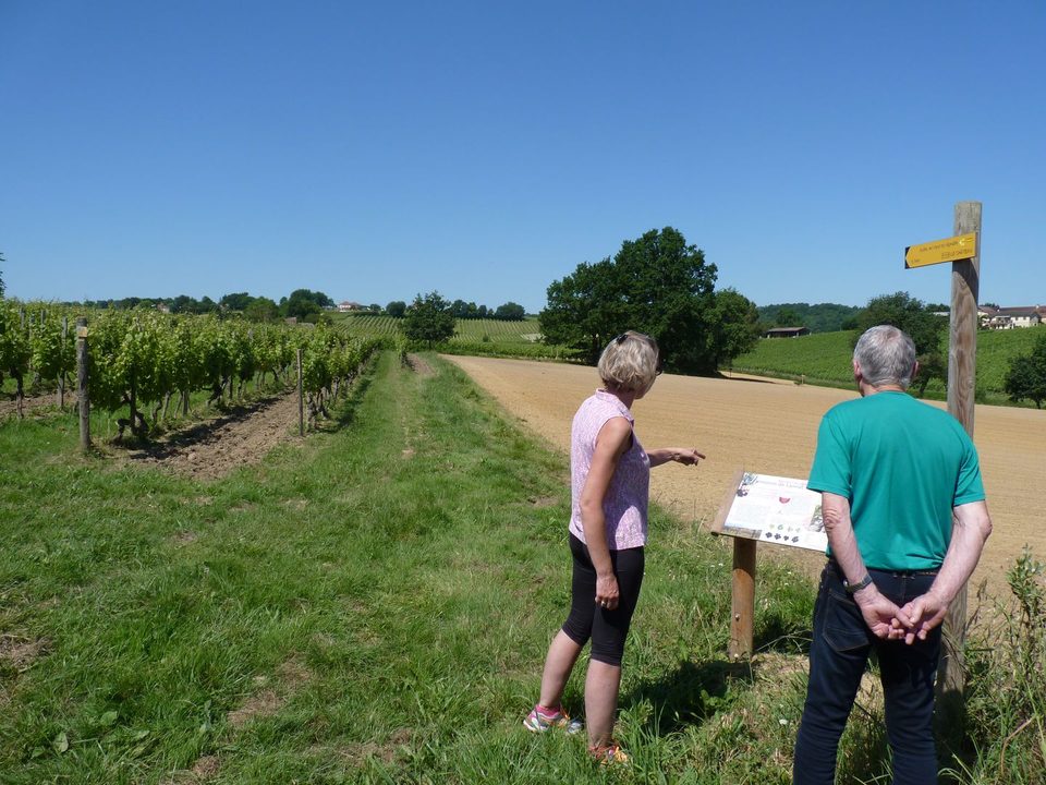 Aydie, promenade Joseph Peyré, au cœur du vignoble