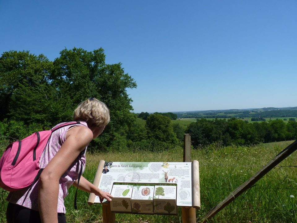 Aydie, promenade Joseph Peyré, au cœur du vignoble