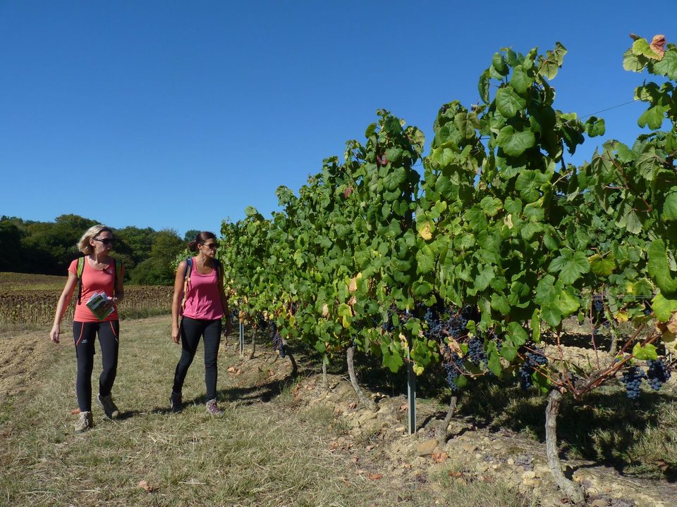 Moncaup : le sentier des fontaines