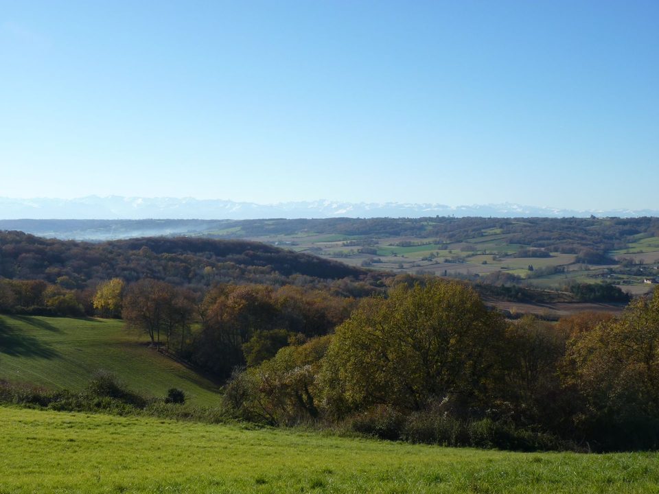 Lespielle : entre moulin et orchidées