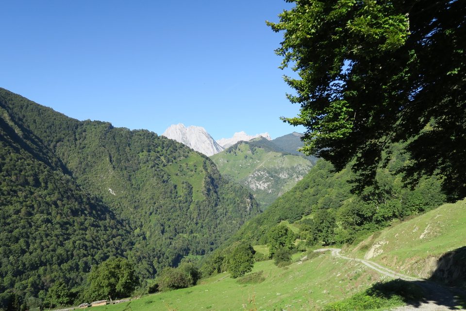 N°56 Granges de Cette