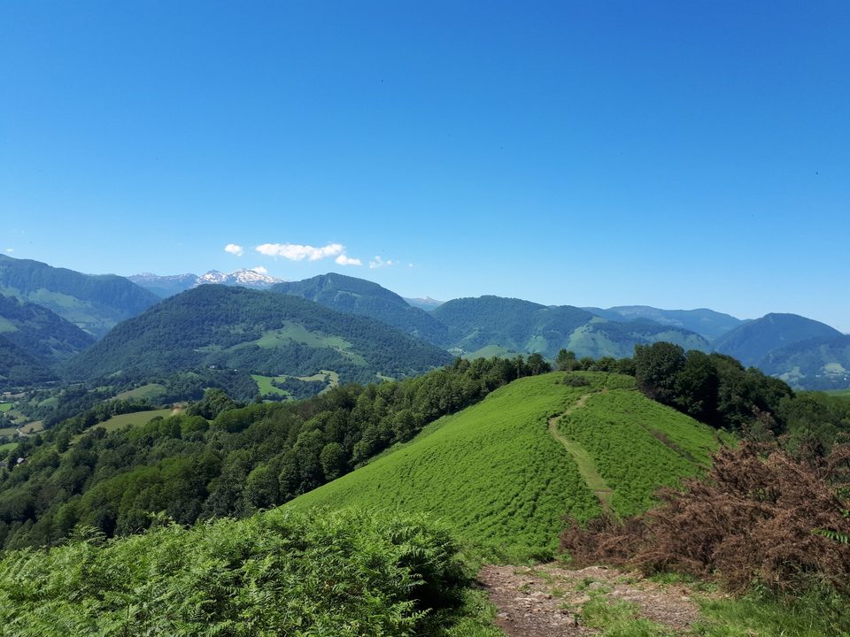 N°6 Trail Conquête des Soums