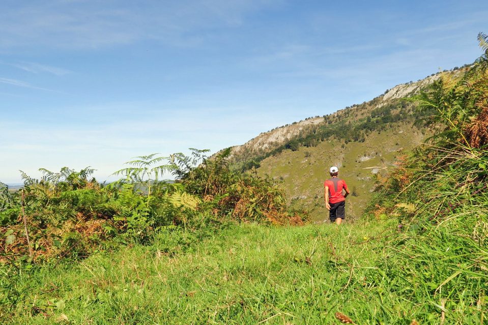 N°5 Fougeraies de Laünde