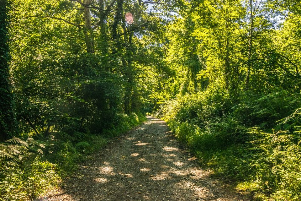 Poey-de-Lescar - La Vallée de l'Ousse