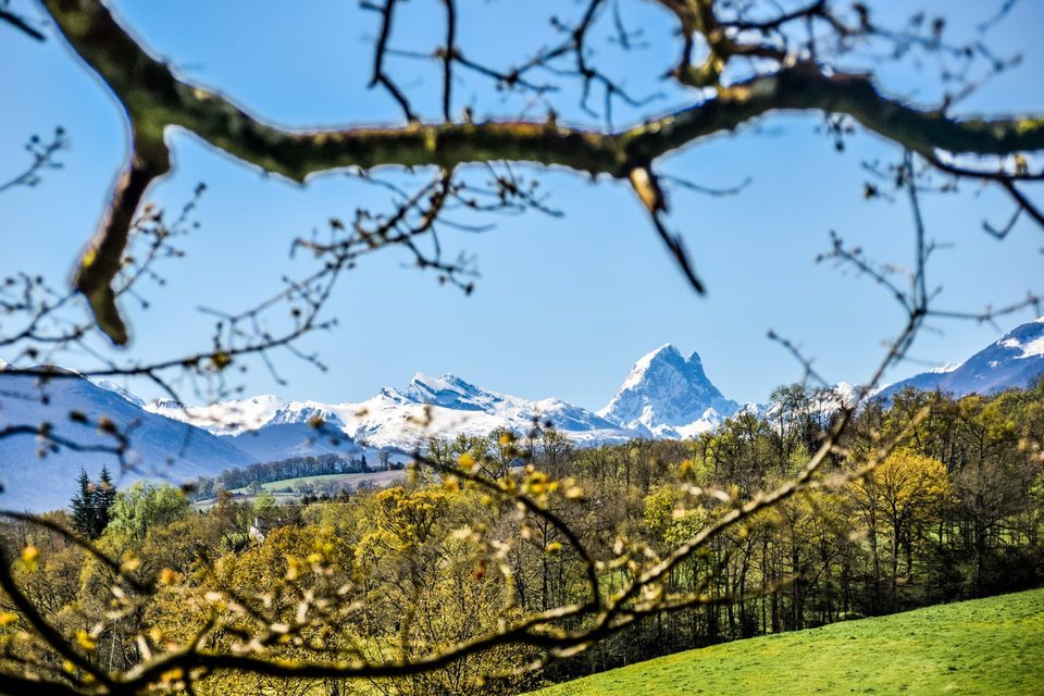 Gan - Coteau de Bastarrous