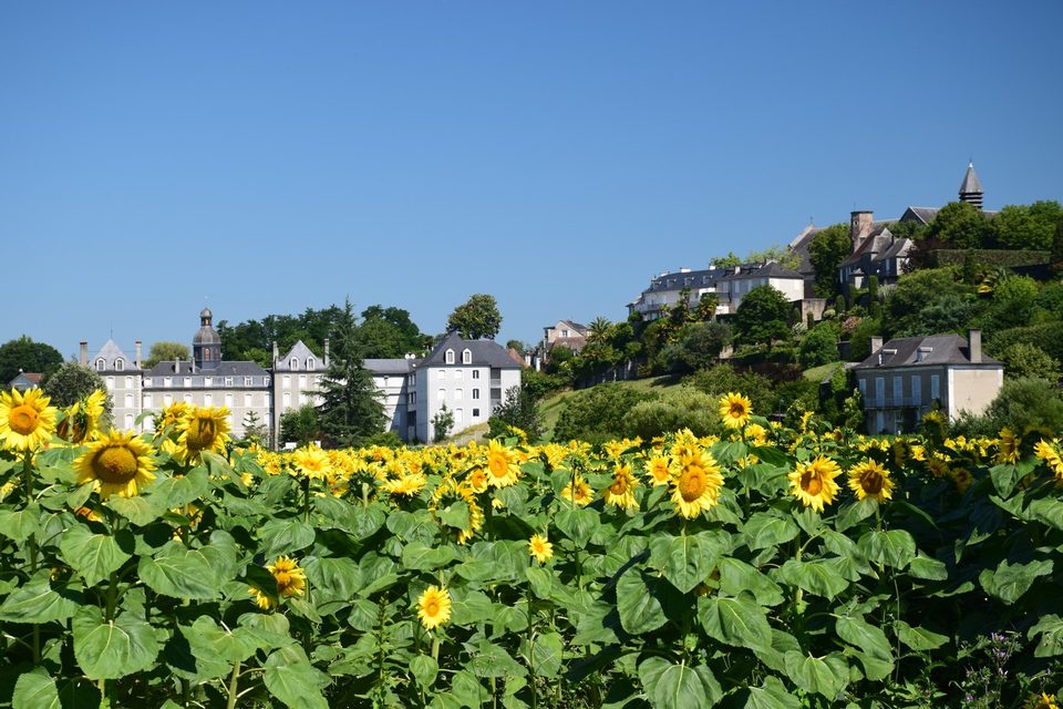 Lescar - Cité et nature