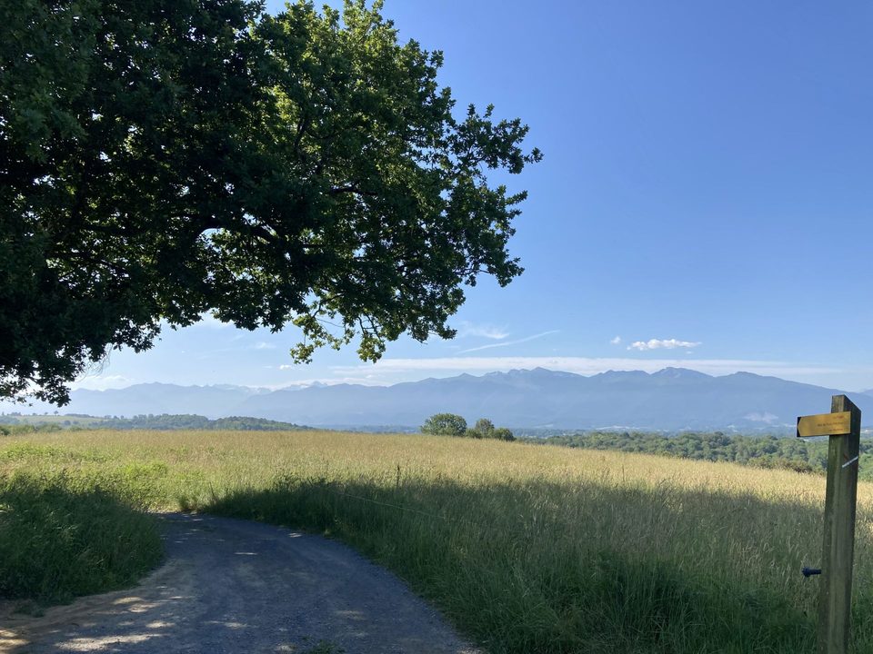N°80 Les Marlères 