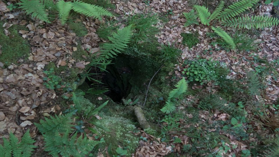 N°83 Sentier Karstique 