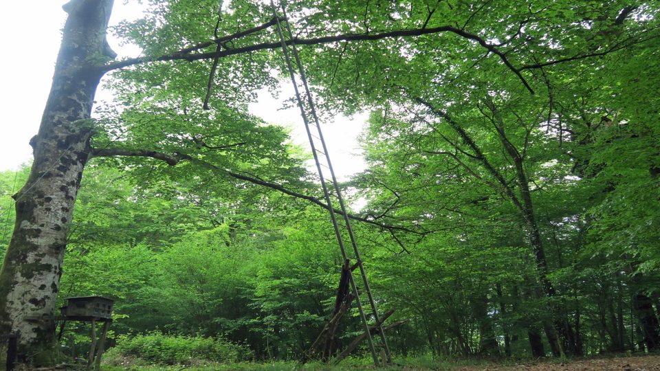 N°88 Camp de César  