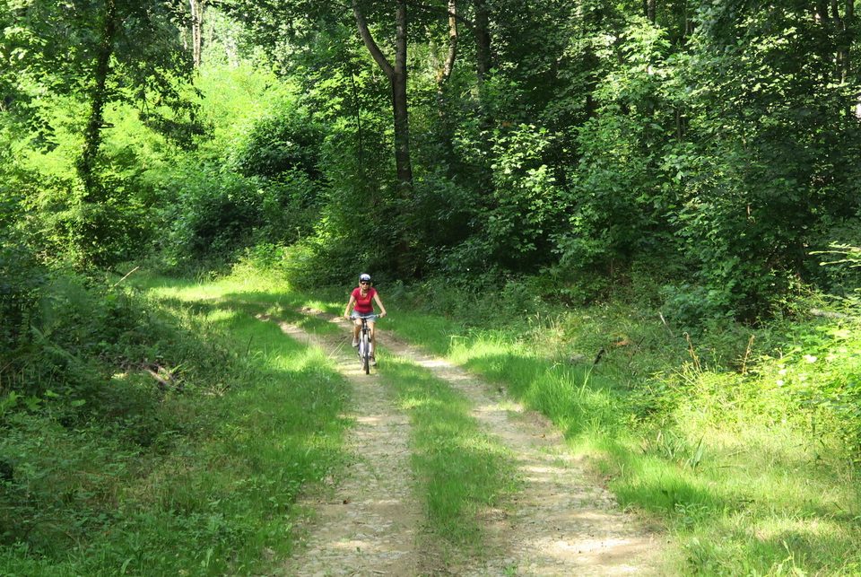 VTT N°71 - Le Bois de Saint-Pée