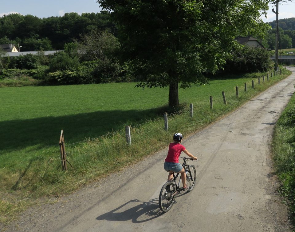 VTT N°71 - Le Bois de Saint-Pée
