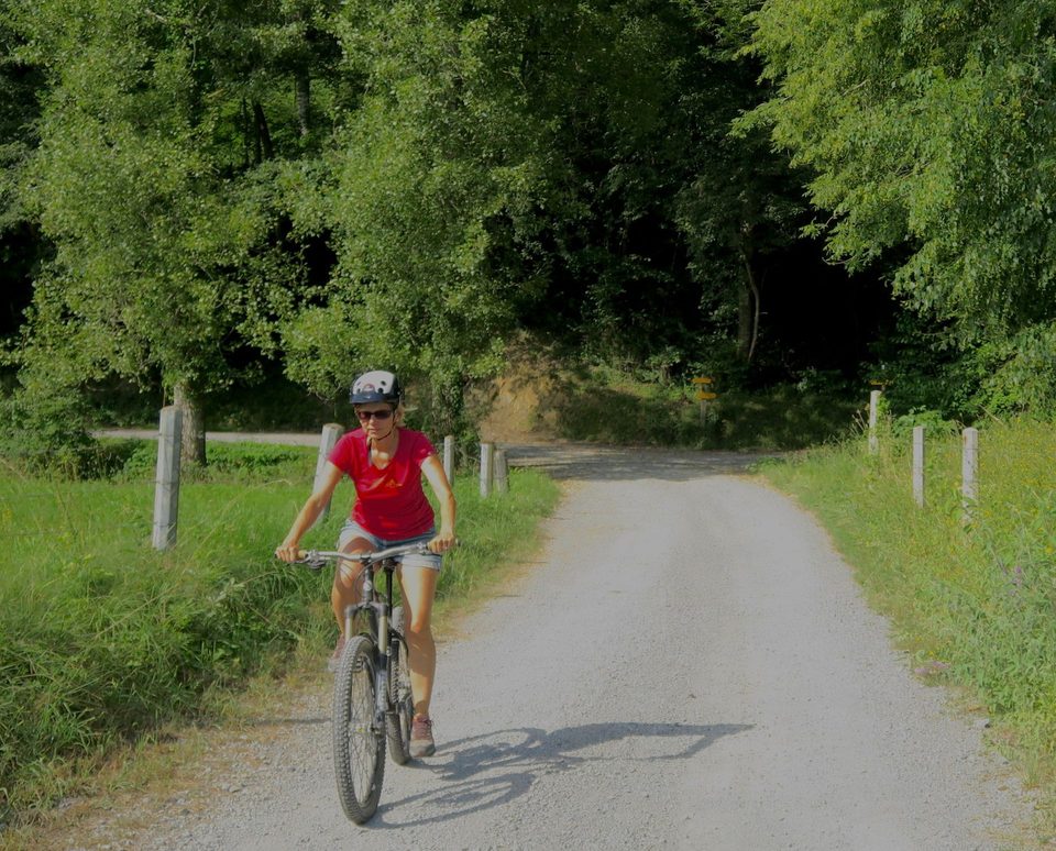 VTT N°71 - Le Bois de Saint-Pée
