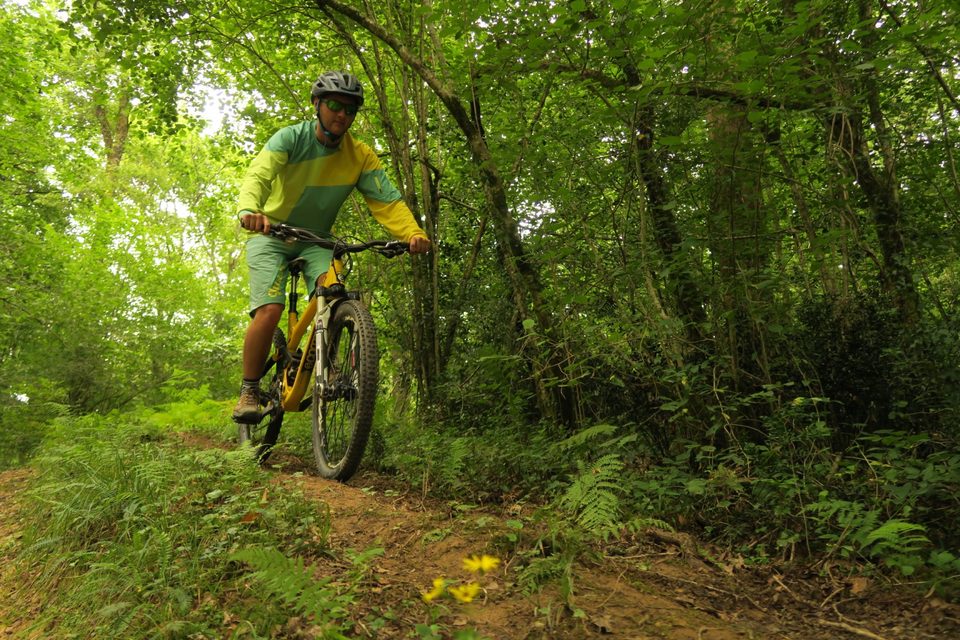 VTT N°75 - Bords du Gave