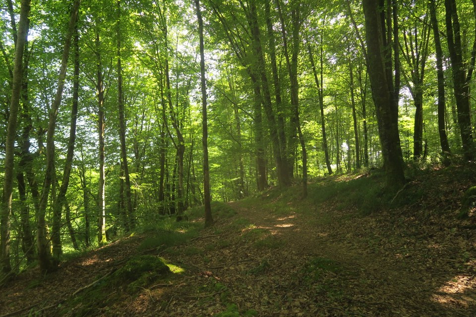 VTT N°76 - Le Bager
