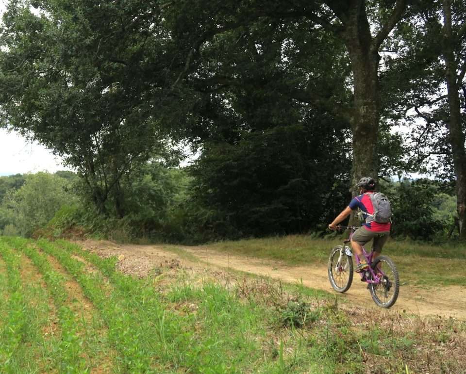 VTT N°77 - Entre Gaves et Joos