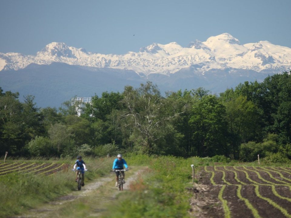 Sauvagnon : dans la plaine du pont long à VTT