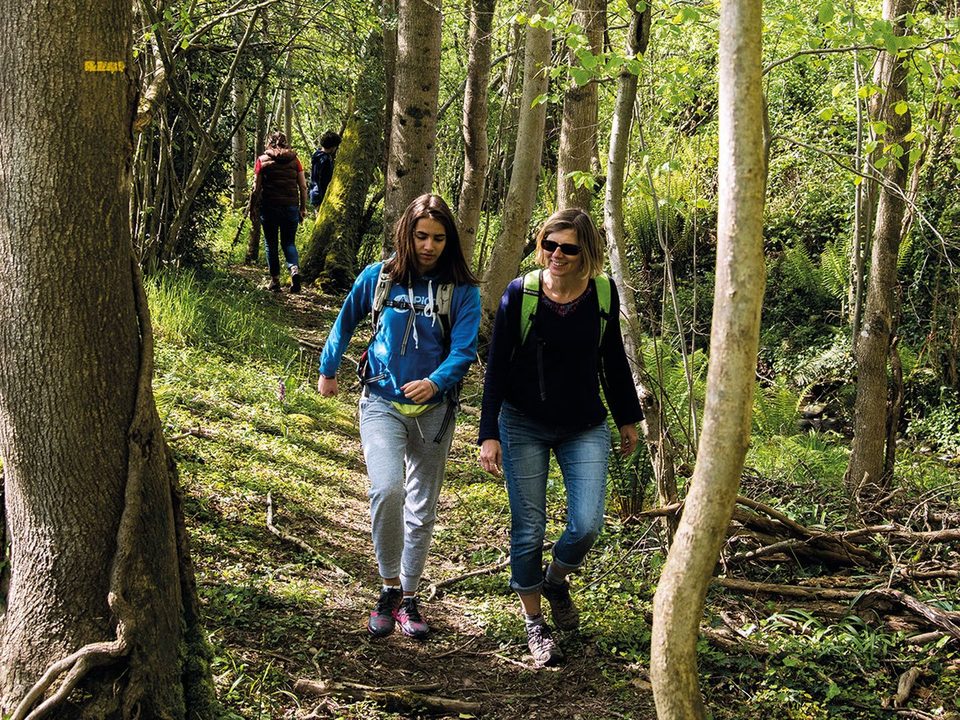 Ouillon : chemin des bergers