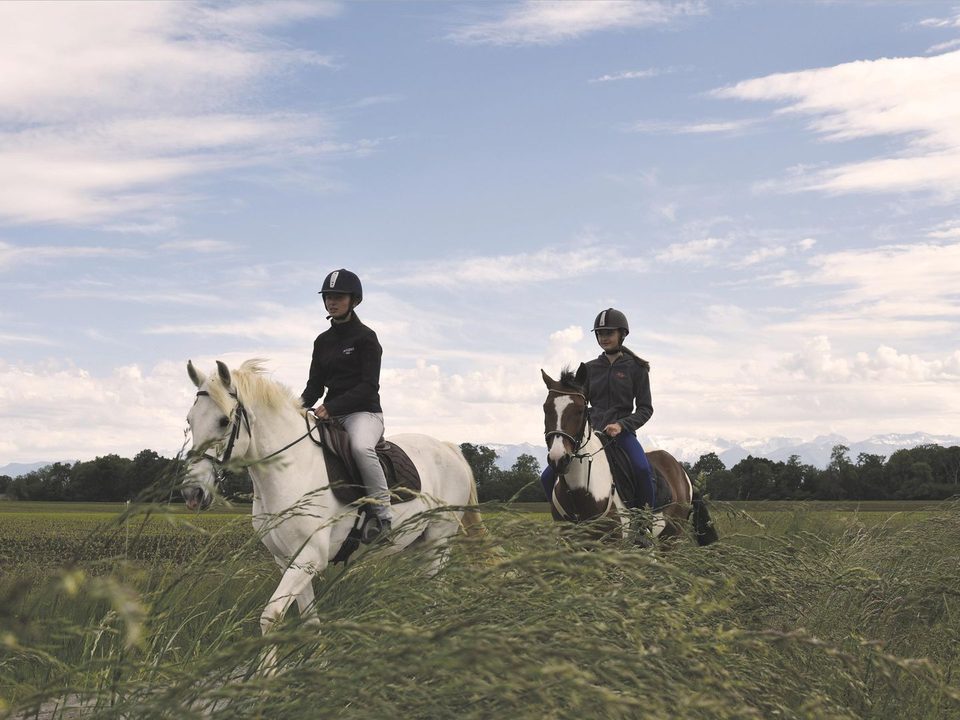 Lespourcy : aux portes du Vic-Bilh à cheval
