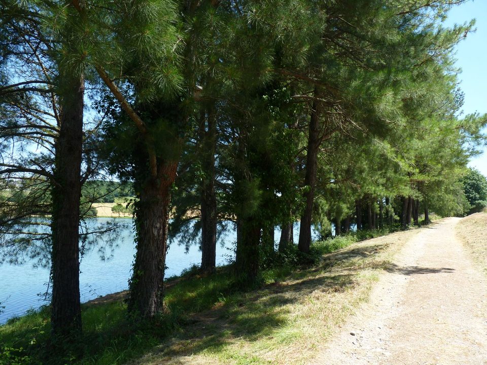 Eslourenties-Daban : la randonnée des lacs à VTT