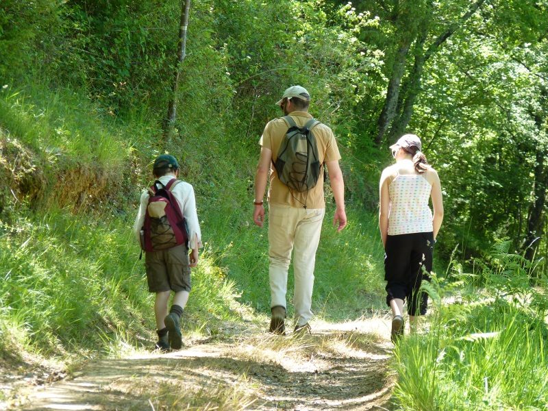 Auga : vallée du Luy de France