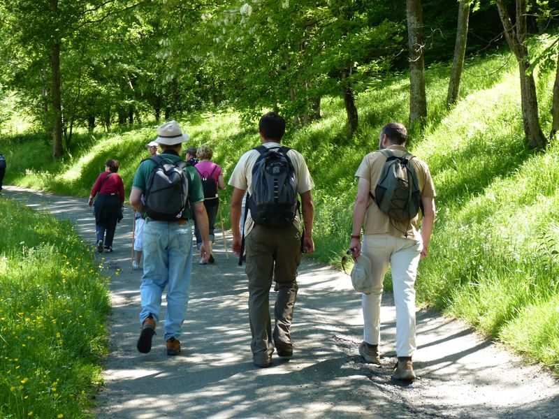 Auga : vallée du Luy de France