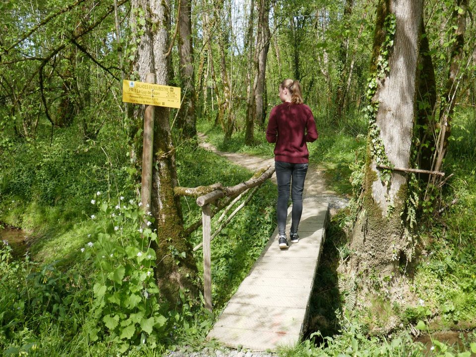 Geüs d'Arzacq : le Luy de Béarn 