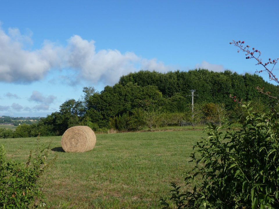 Carrère : boucle de la Palue