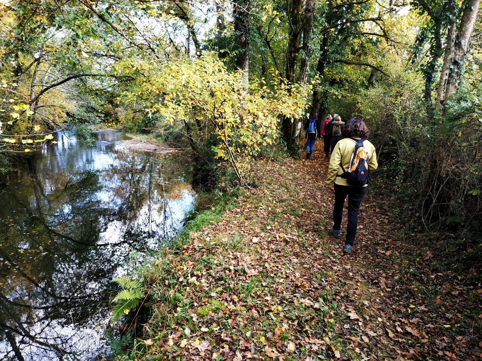 Montagut : le Luy de France 
