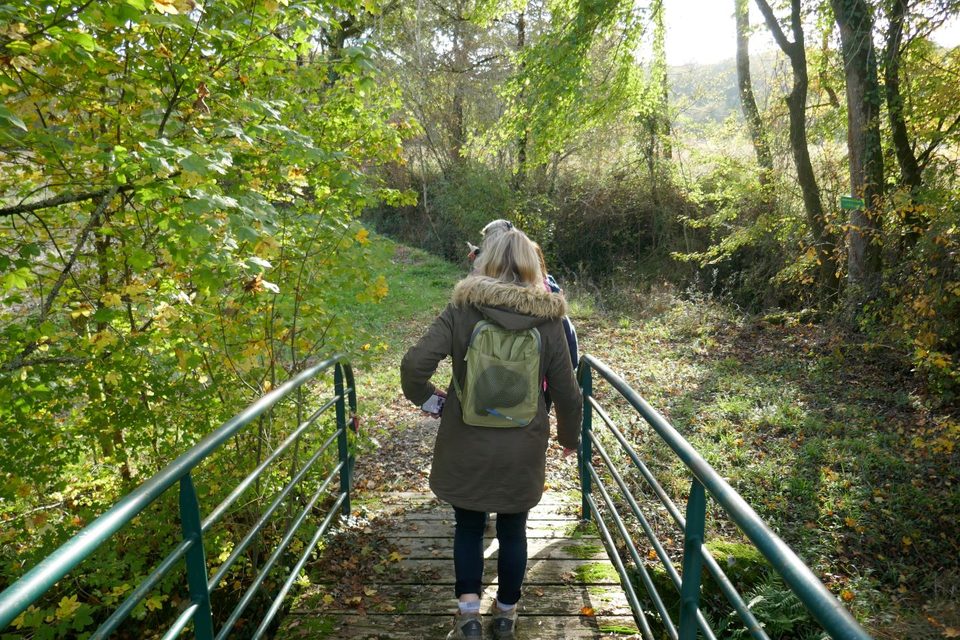Montagut : le Luy de France 