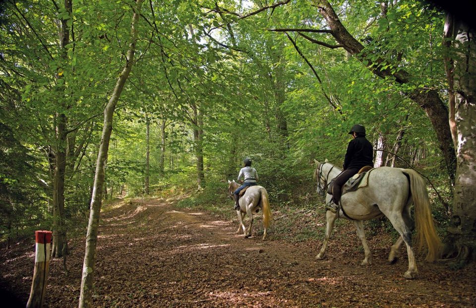 Malaussanne : Du moulin - à cheval