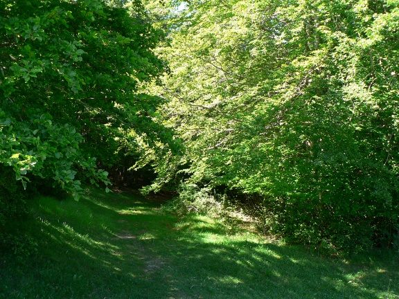 Montardon : les Marlères à VTT
