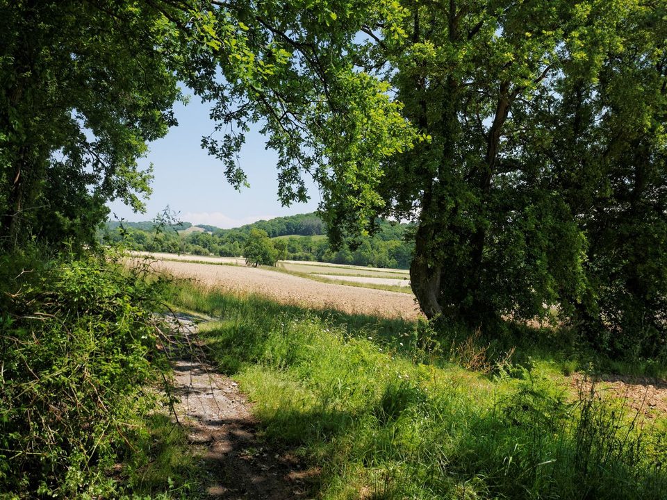 Montardon : les Marlères à VTT