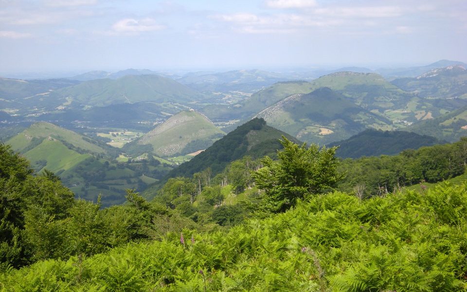 Erretzü