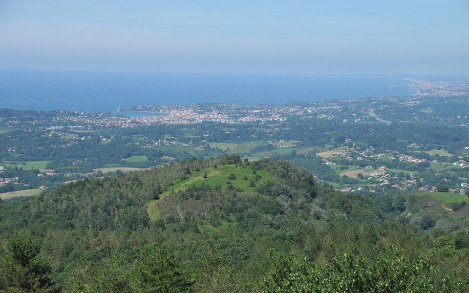 Xoldo