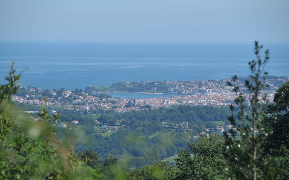Xoldoko Gaina