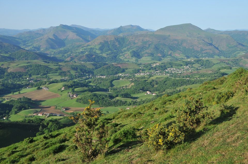 Bidegaraia